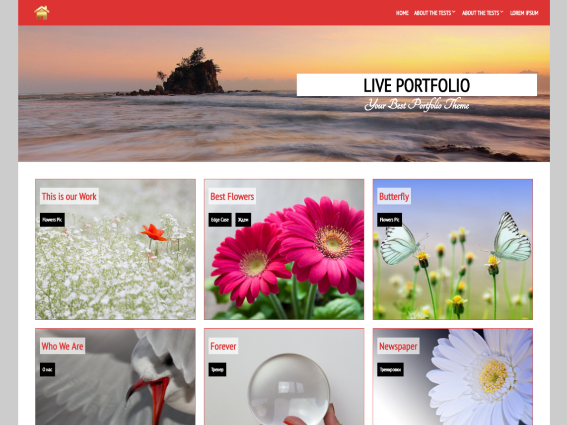 Live Portfolio Theme Miễn phí Tải về